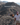 Summit Sounds — Hike & Sound Healing Journey (January 25th)